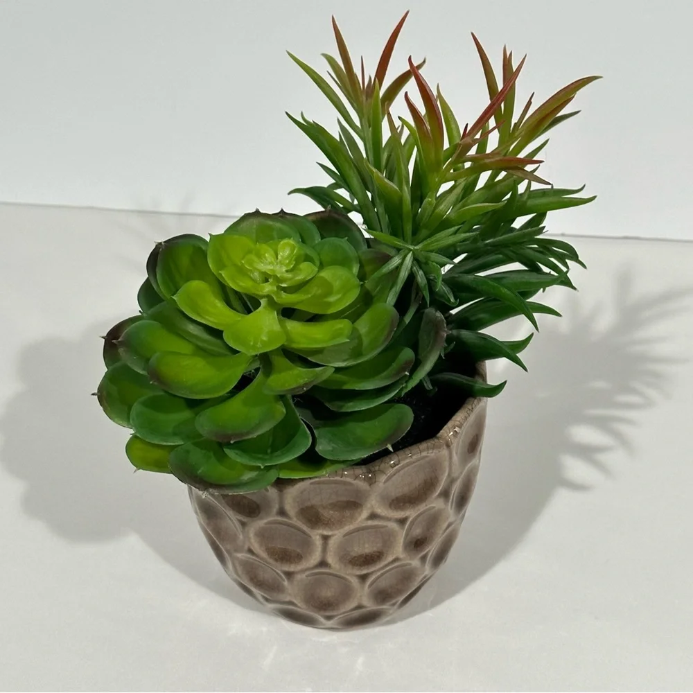 Ceramic Potted Faux Succulents Artificial Plant Decor